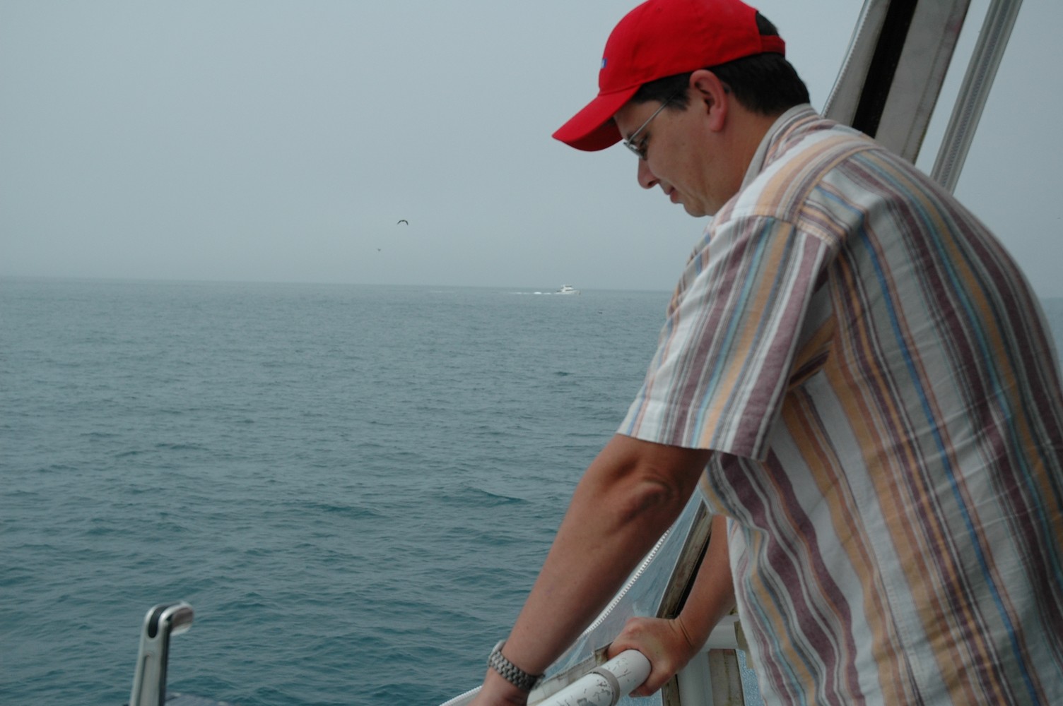 176   30 01   Kaikoura